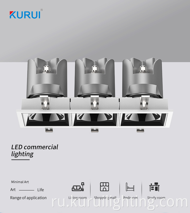 Adjusted Hotel COB LED Downlight